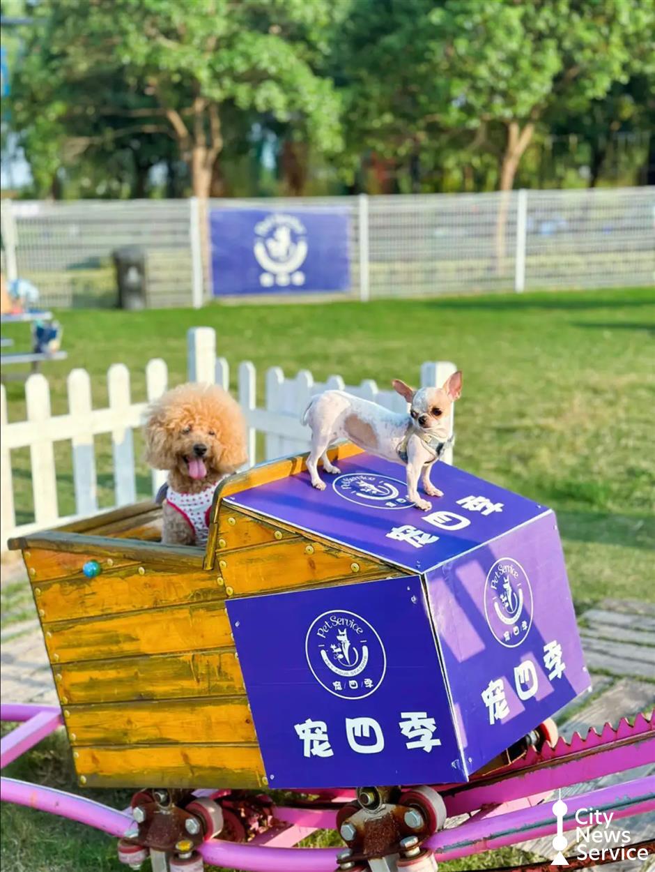 上海のペット同伴可能な公園や施設を探索する