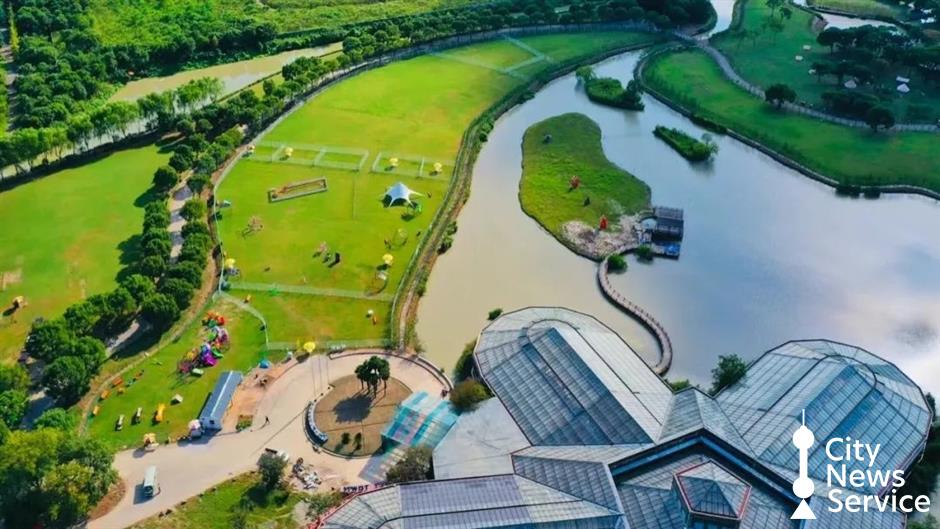 上海のペット同伴可能な公園や施設を探索する