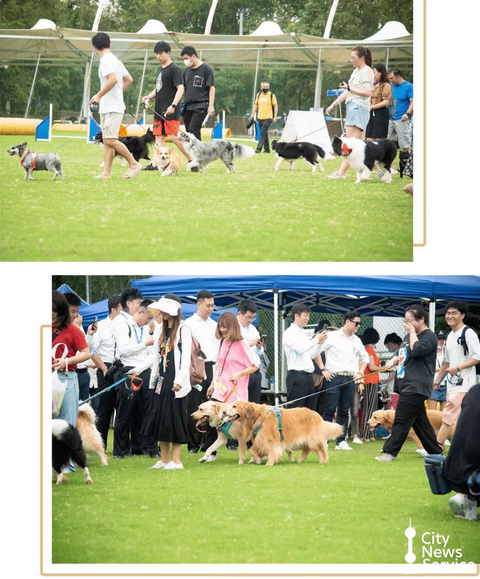 上海のペットに優しい公園や施設を探索しよう