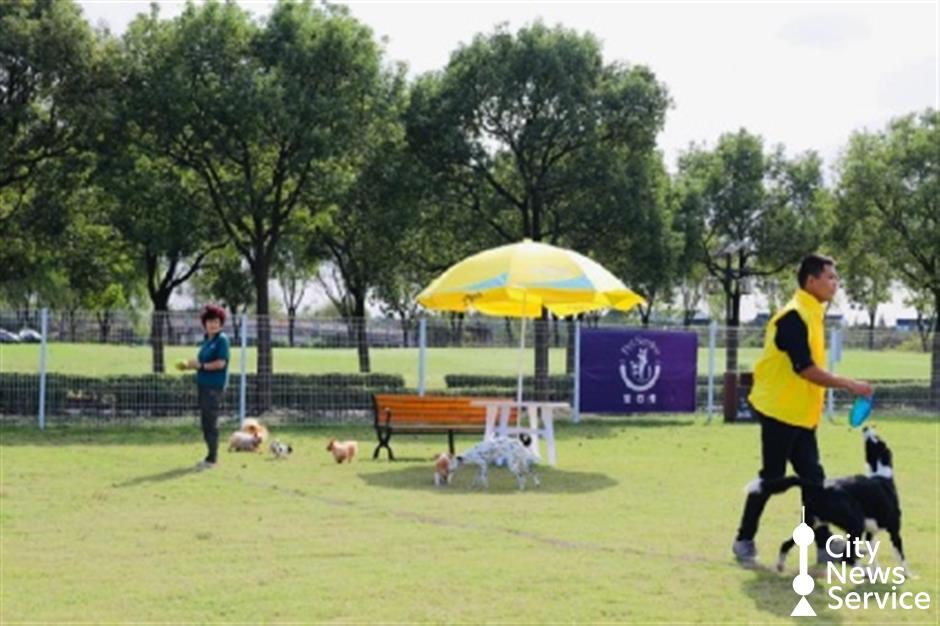 上海のペットと遊べる公園や施設を探そう