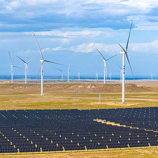 China’s Zero-Carbon Parks, Global Green Standards Push Take Center Stage at Shanghai Expo